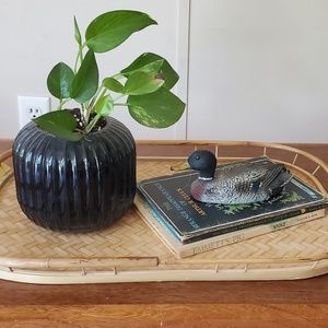 Meet your Posher, Breezly